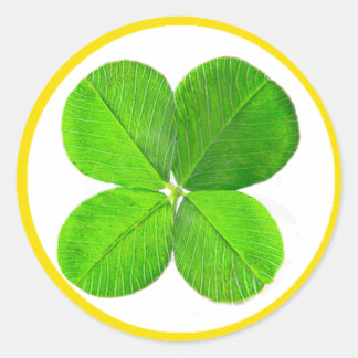 Four Leaf Clover The MUSEUM Zazzle Gifts Classic Round Sticker