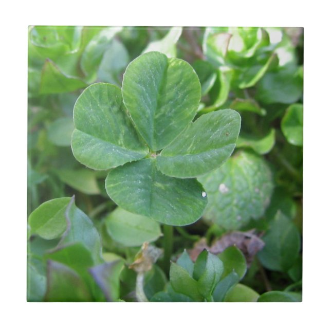 Four Leaf Clover Tile (Front)