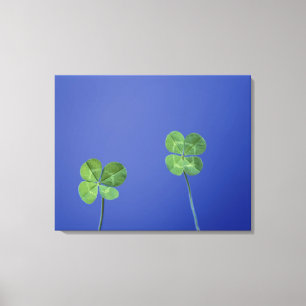 Four-leaf clovers canvas print
