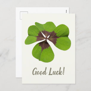 Four Leaf Lucky Clover St Patricks Day Good Luck Holiday Postcard