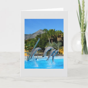 Four leaping dolphins holiday card