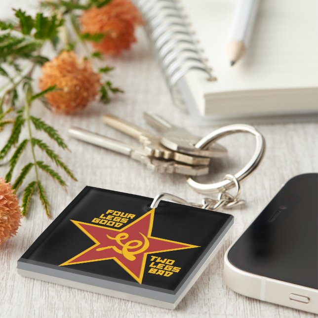 Four legs good key ring (Front Right)