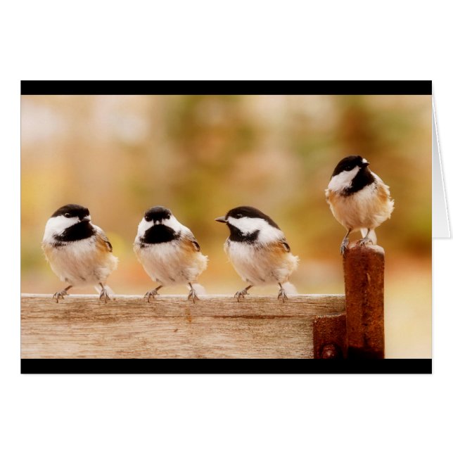 Four little chickadees (Front Horizontal)