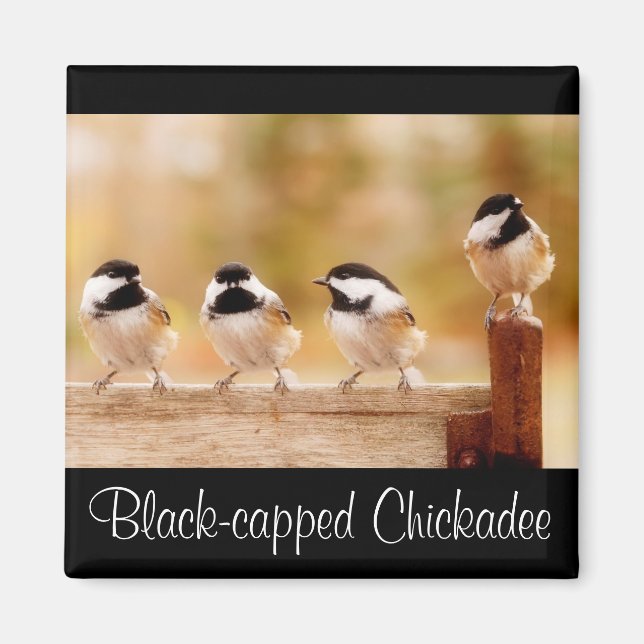 Four little chickadees magnet (Front)