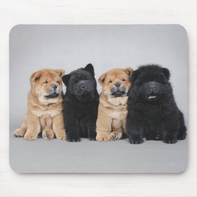 Four little Chow chow puppies Mouse Mat (Front)
