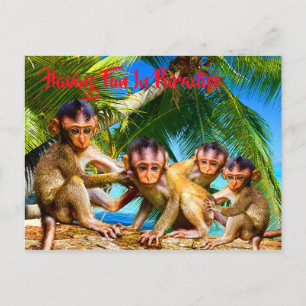 Four Little Monkeys Postcard