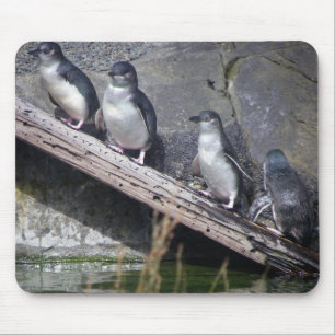Four Little Penguins Mouse Mat
