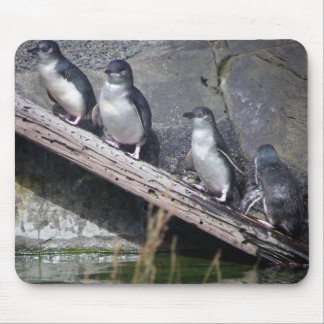 Four Little Penguins Mouse Mat