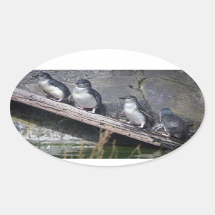 Four Little Penguins Oval Sticker