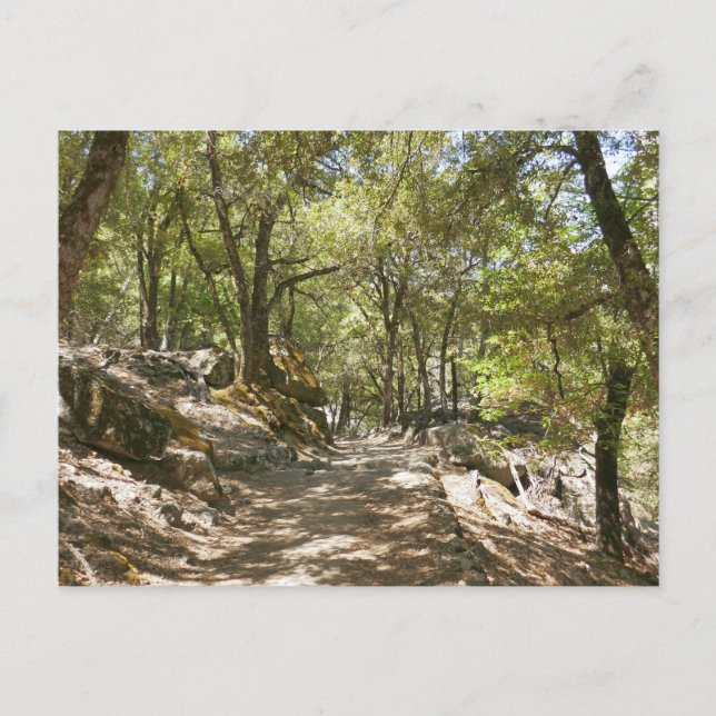 Four Mile Trail Postcard (Front)