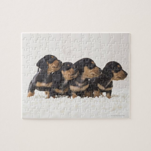 Four Mini Dachshund Jigsaw Puzzle (Horizontal)