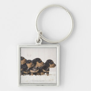 Four Mini Dachshund Key Ring