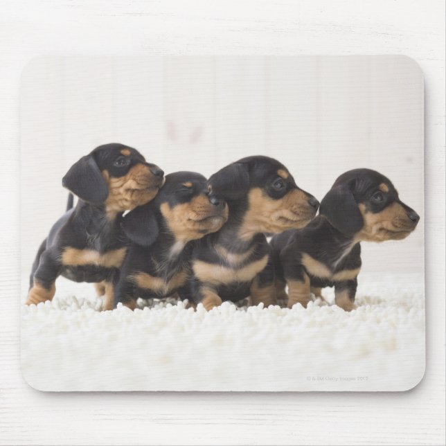 Four Mini Dachshund Mouse Mat (Front)