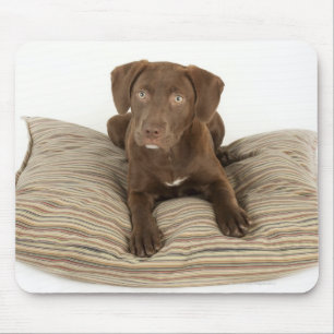 Four-Month-Old Chocolate Lab Puppy on Pillow Mouse Mat