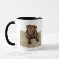 Four-Month-Old Chocolate Lab Puppy on Pillow