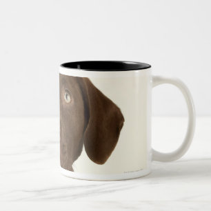 Four-Month-Old Chocolate Lab Puppy Portrait Two-Tone Coffee Mug