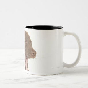 Four-Month-Old Chocolate Lab Puppy Yawning Two-Tone Coffee Mug