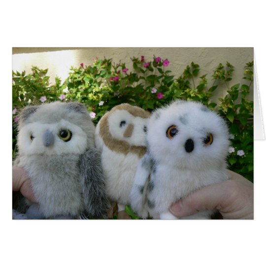 Four O'Clock Owls Card