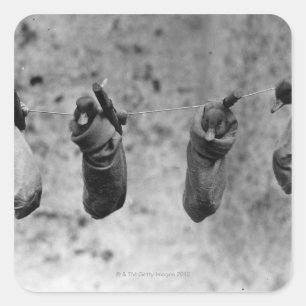 Four one-day-old ducklings pegged out of harm's square sticker