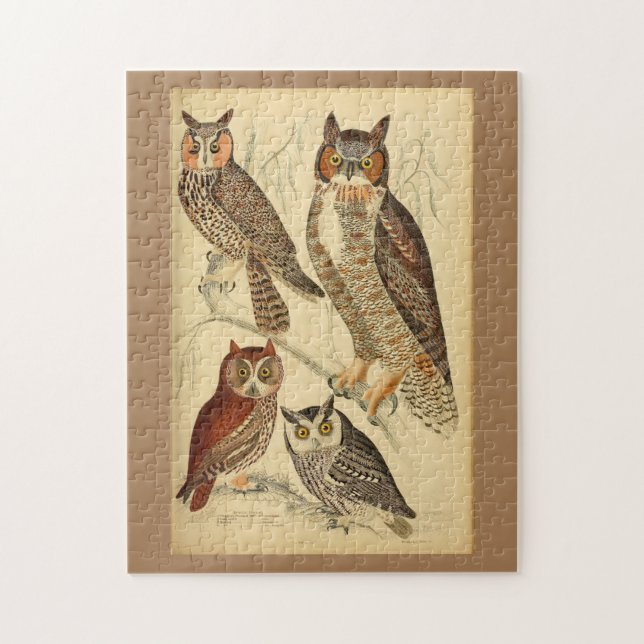 Four owls illustration jigsaw puzzle (Vertical)