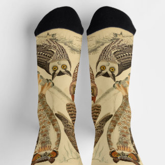 Four owls illustration socks