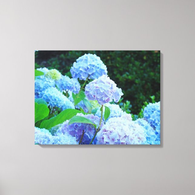 Four Panle Canvas nature prints Blue Hydrangeas (Front)