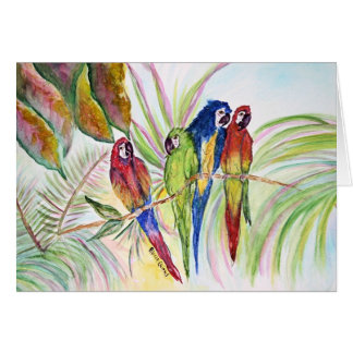 Four Parrots Sitting in a Tree.......