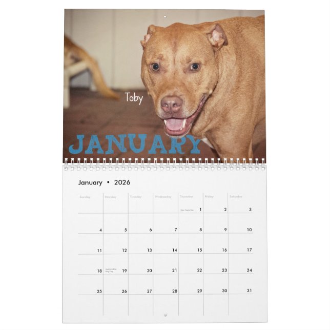 Four Paws 2014 Calendar (Jan 2026)