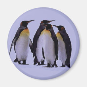 Four Penguins Magnet