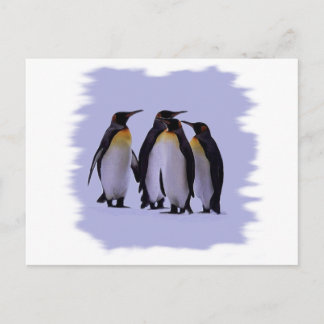 Four Penguins Postcard