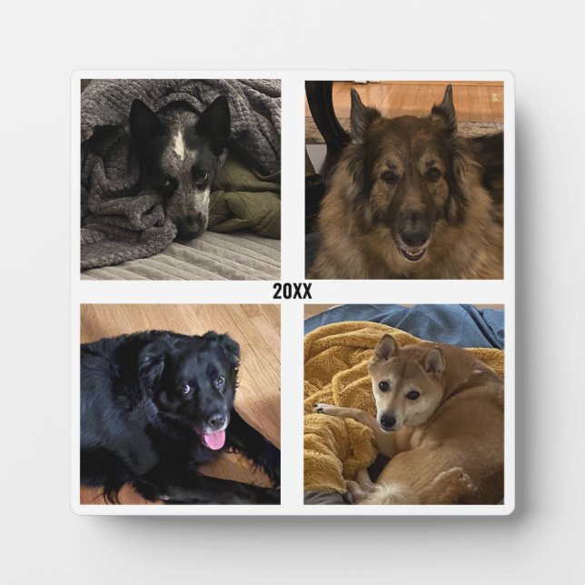 Four Photo Stand Up Frame (Front)