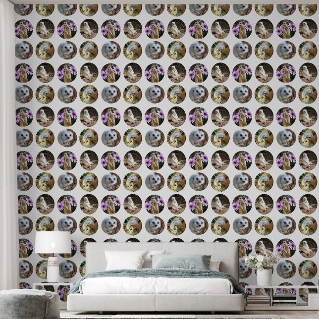 Four Picture Meerkat Collarge, Wallpaper (Bedroom)