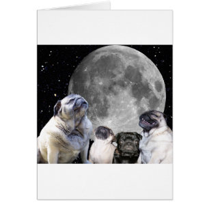 Four Pug Moon Pug