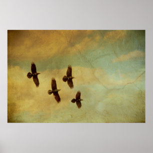 Four Ravens Flying Poster