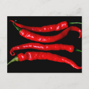 Four Red Chilies pccna Postcard