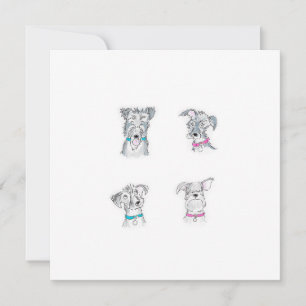 Four scruffy dogs card