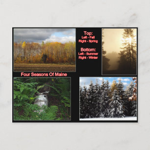 Four Seasons Of Maine Postcard