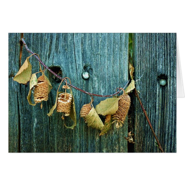 Four Sisters (Front Horizontal)