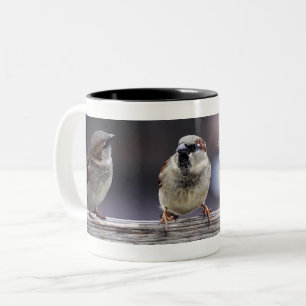 Four Sparrows on a Fence Two-Tone Coffee Mug
