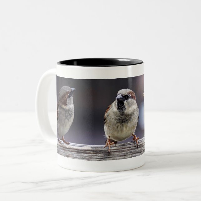 Four Sparrows on a Fence Two-Tone Coffee Mug (Front Left)