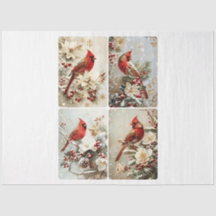 Four square Cardinals Tissue Paper