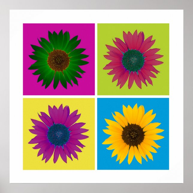 Four Sunflowers in Colour Poster (Front)