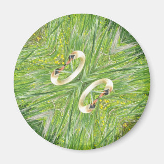 Four swans fridge magnet