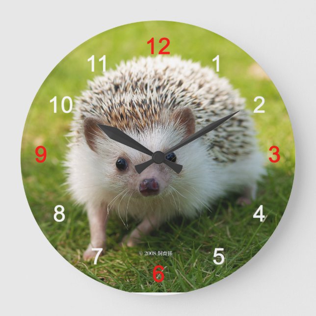 Four-toed hedgehog large clock (Front)