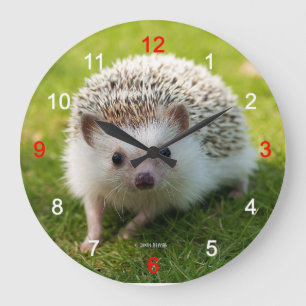 "Four-toed hedgehog" wall clock,No.01 Large Clock