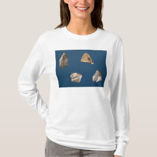 Four tools, 35000-10000 BC T-Shirt
