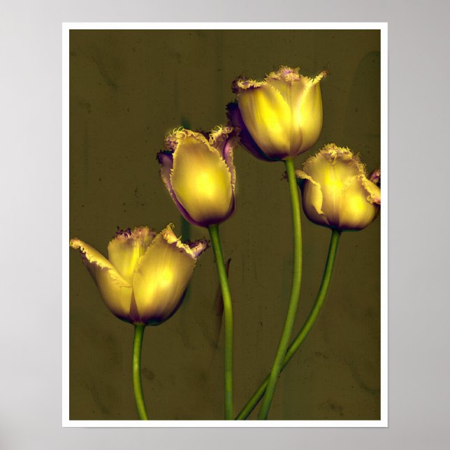 Four tulips poster (Front)
