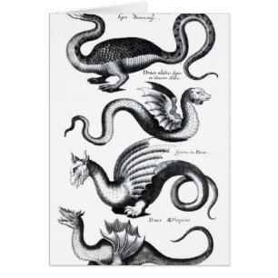 Four types of dragon