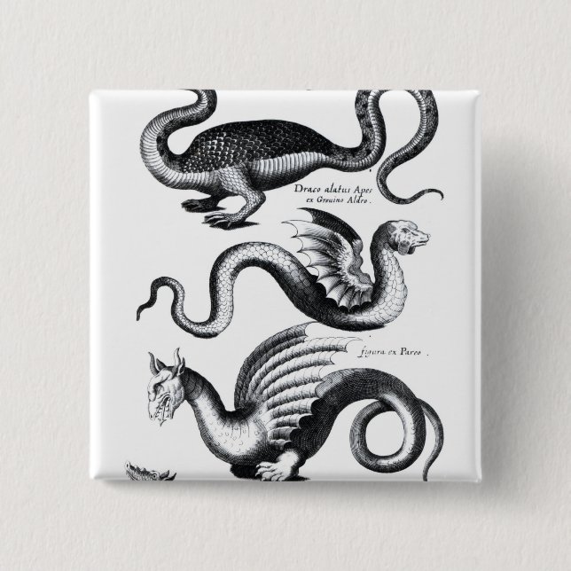 Four types of dragon 15 cm square badge (Front)