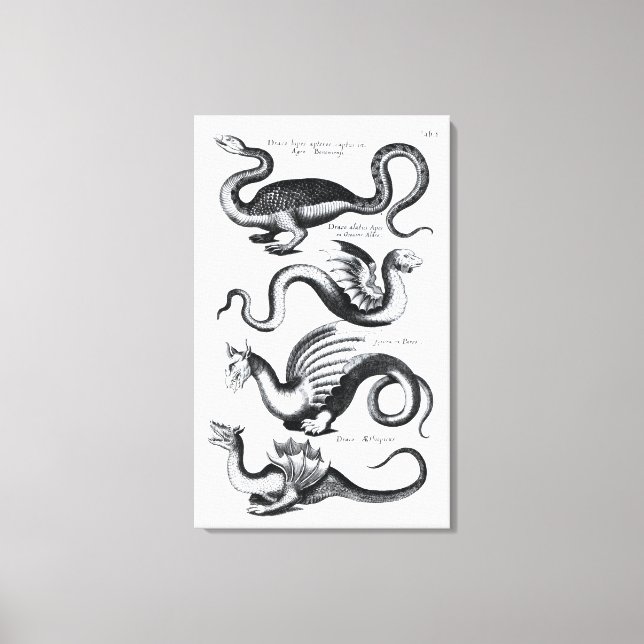 Four types of dragon canvas print (Front)